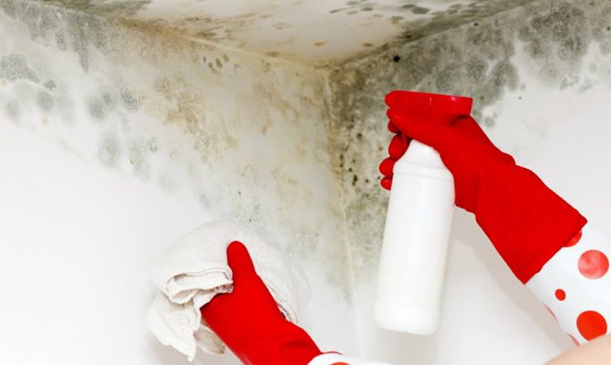 ▷ ¿Cómo limpiar el moho de las paredes?