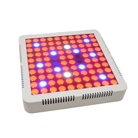 65W Full Spectrum (R+B+UV+IR+W)