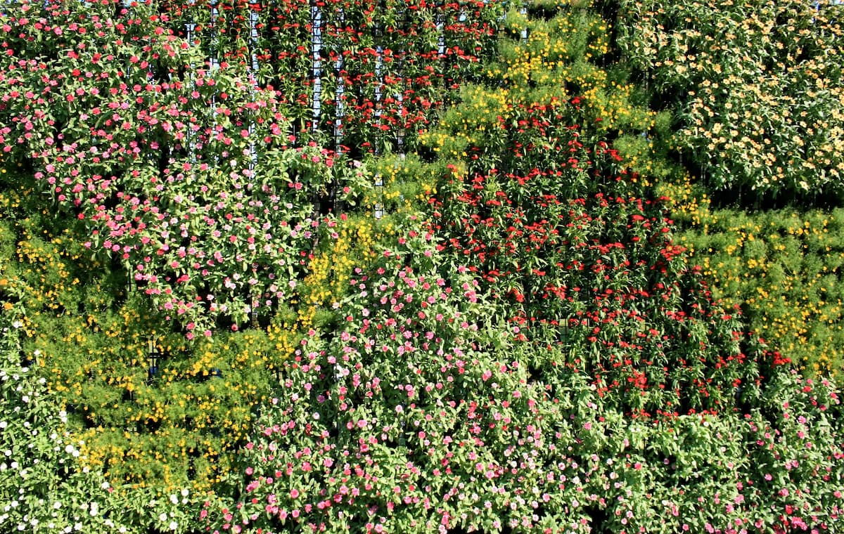 Jardines Verticales